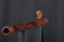 Southeast Asian Rosewood Burl Native American Flute, Minor, Mid G-4, #T7K (4)